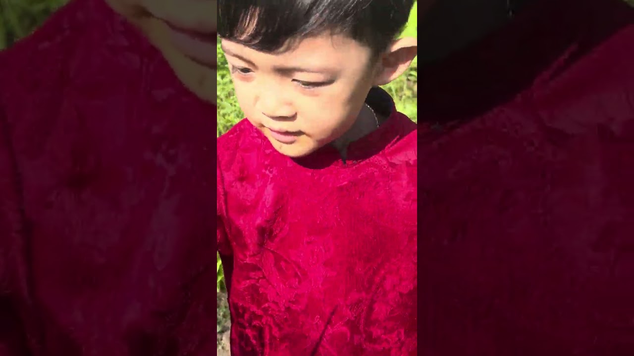 Tết 2026