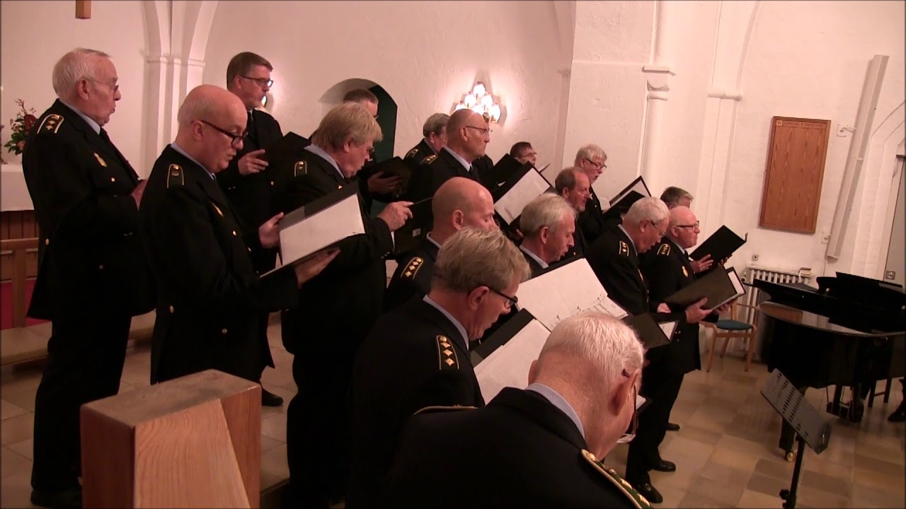 You raise me up - K&oslash;benhavns Politi Sangkor