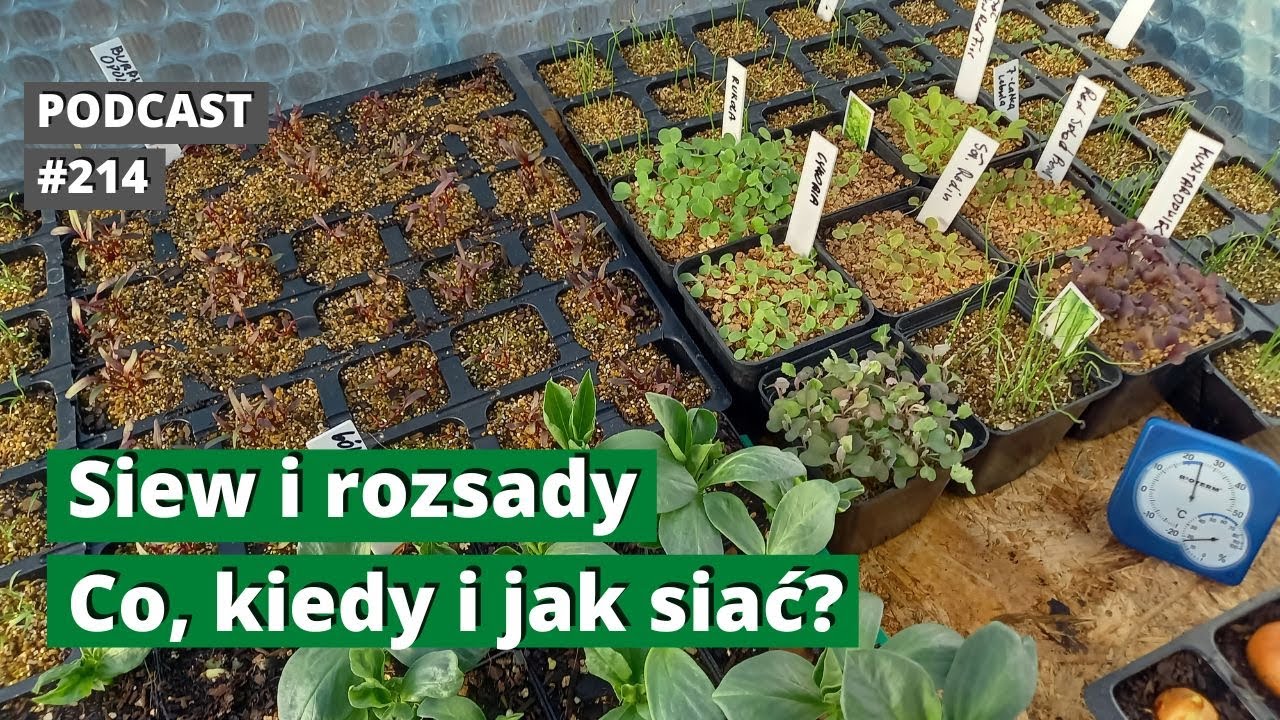 214. Co, kiedy i jak wysiewać na rozsady. Podcast
