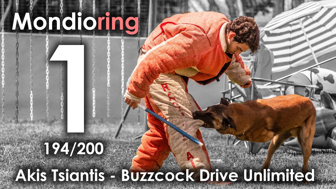Mondioring 1 Winner | Akis Tsiantis - Buzzcock Drive Unlimited | Drive Unlimited Mondioring Team