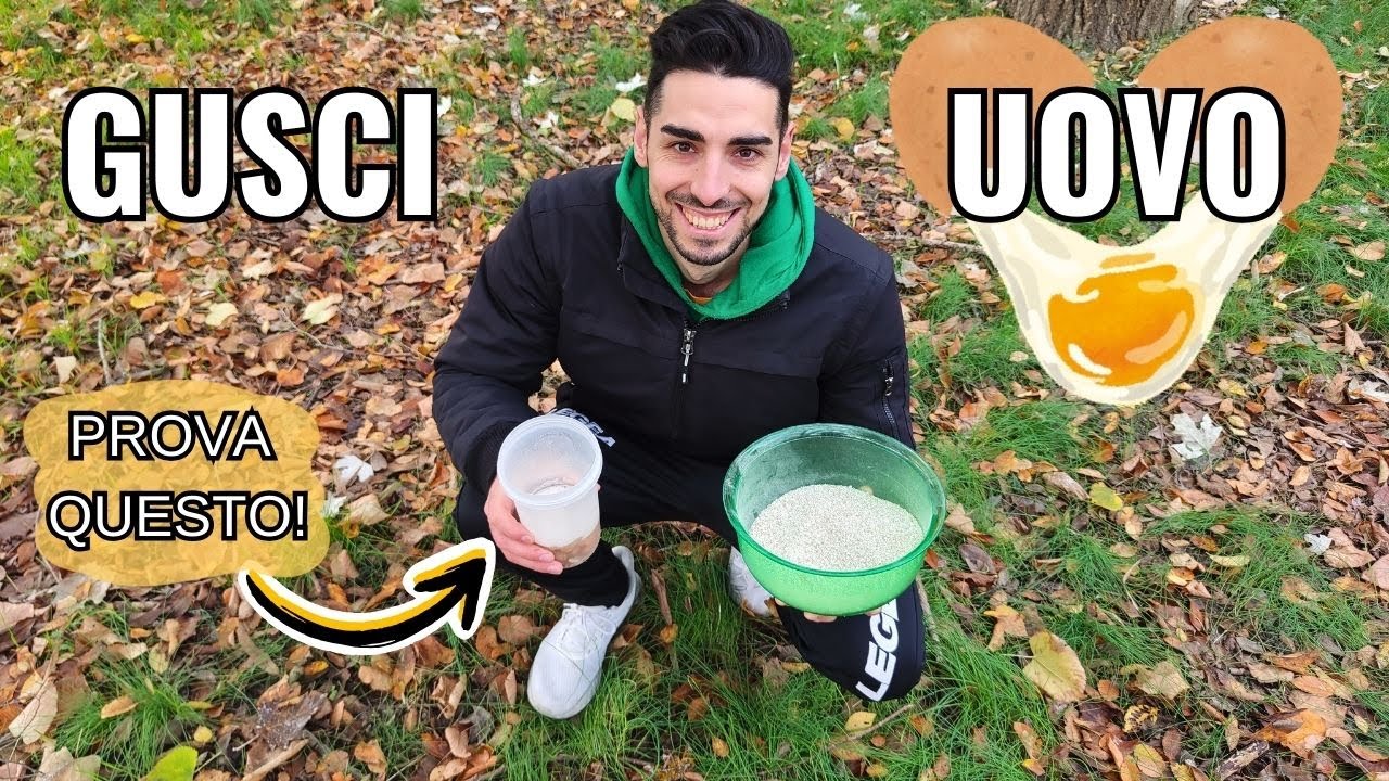 GUSCI D'UOVO: 2 MODI SEMPLICI per utilizzarli nel tuo ORTO!