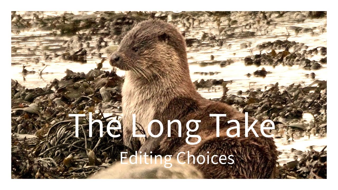 The Long Take
