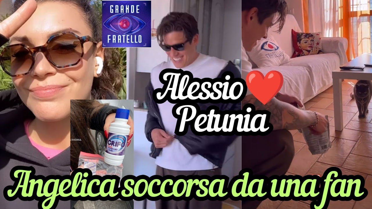 ANGELICA si ferisce per strada e una fan le porta i cerotti | ALESSIO FALSONE a casa di ANITA