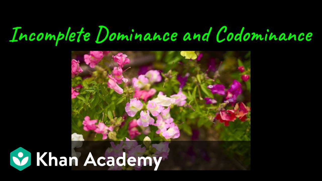 Incomplete & Co Dominance | Principles of Inheritance & Variation | Class XII| Biology |Khan Academy