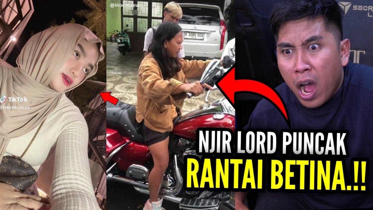 DIAM MAIN KOBRA BERGERAK MEMBURU BETINA‼️..LORD DEDE INOEN NI BOS TAMPLING DONG