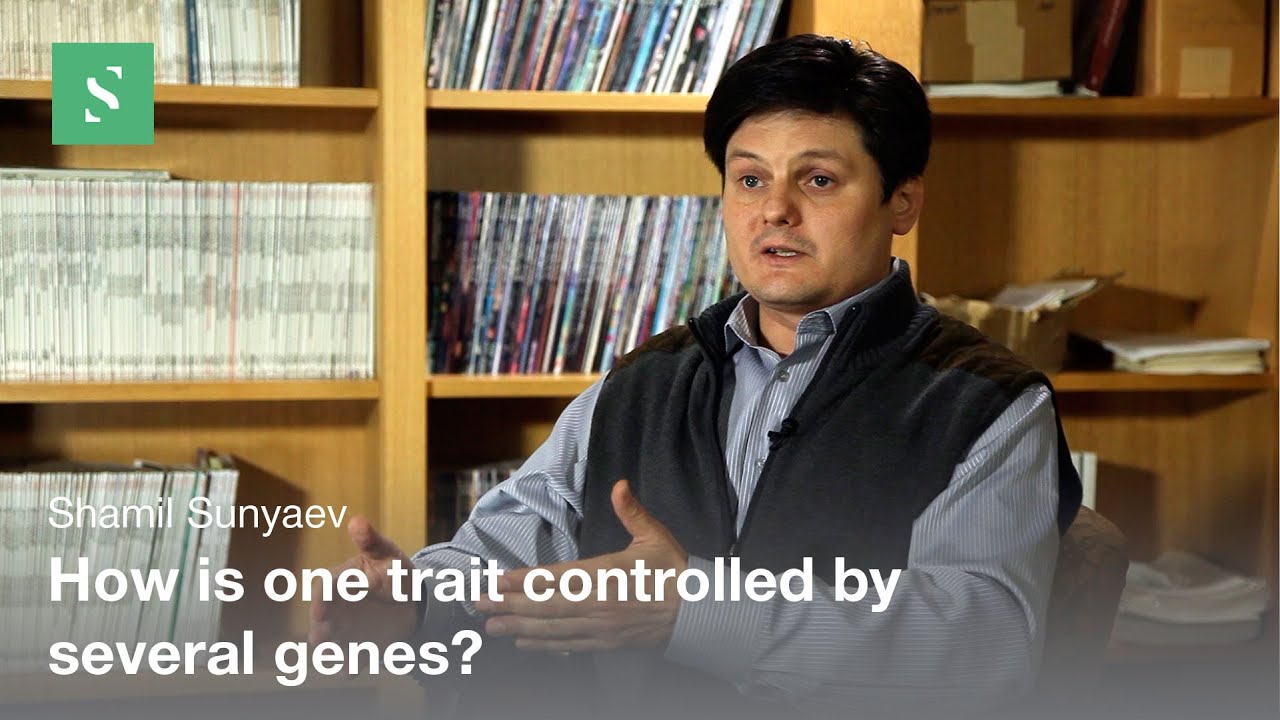 Allelic Architecture of Complex Traits &mdash; Shamil Sunyaev / Serious Science