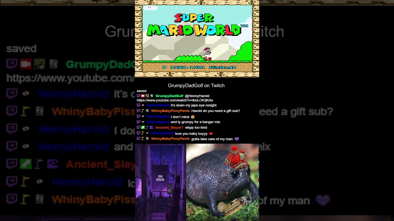 Evening Mario and Hockey