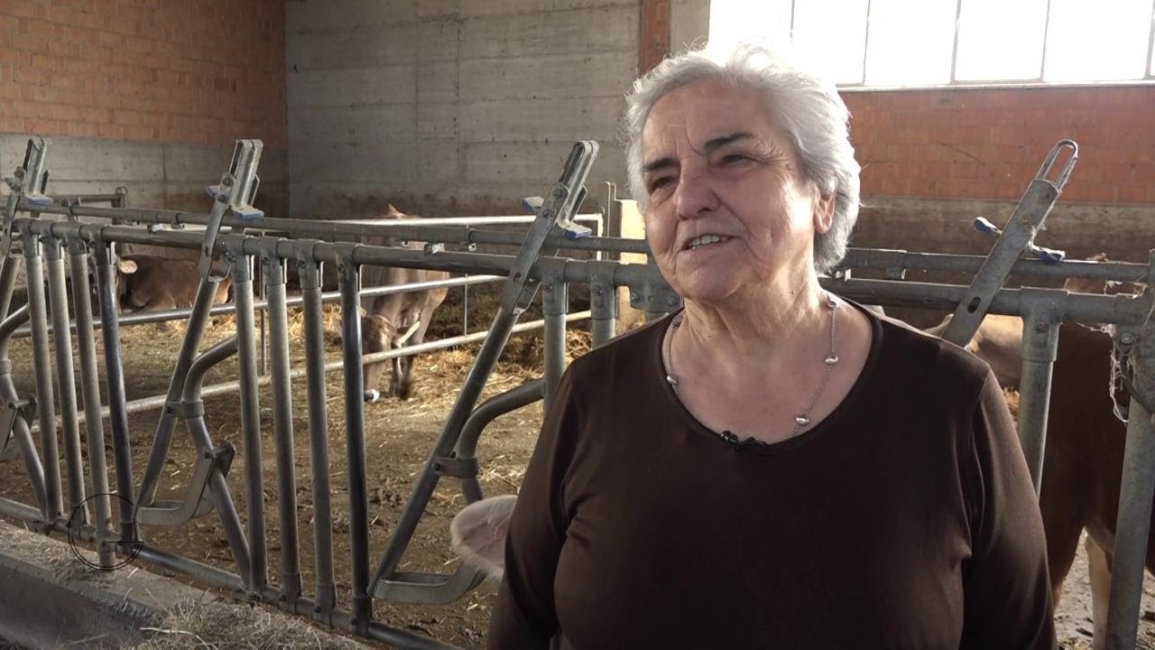 Nell'azienda bio dove nasce il Parmigiano Reggiano