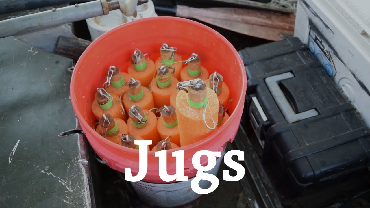 Noodles | Jug Fishing Tips