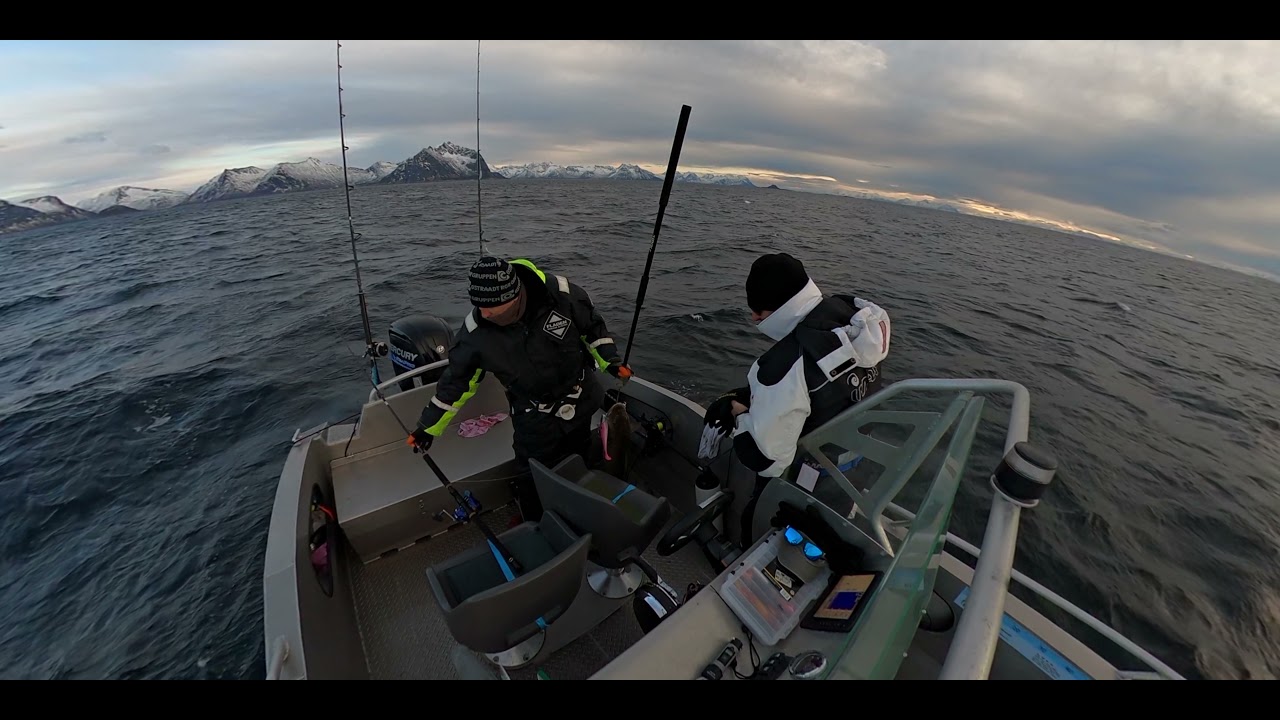 SENJA ISLAND FISHING 5K