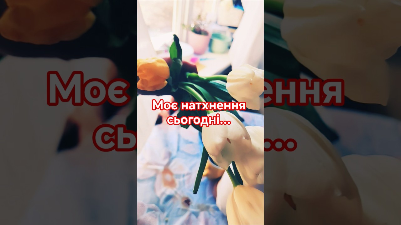 #youtuber #мамаблогер #аквариум#цветы