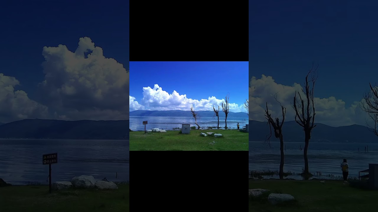YASHICA DigiMate Photo Reveal: See the Real Sample Photos!