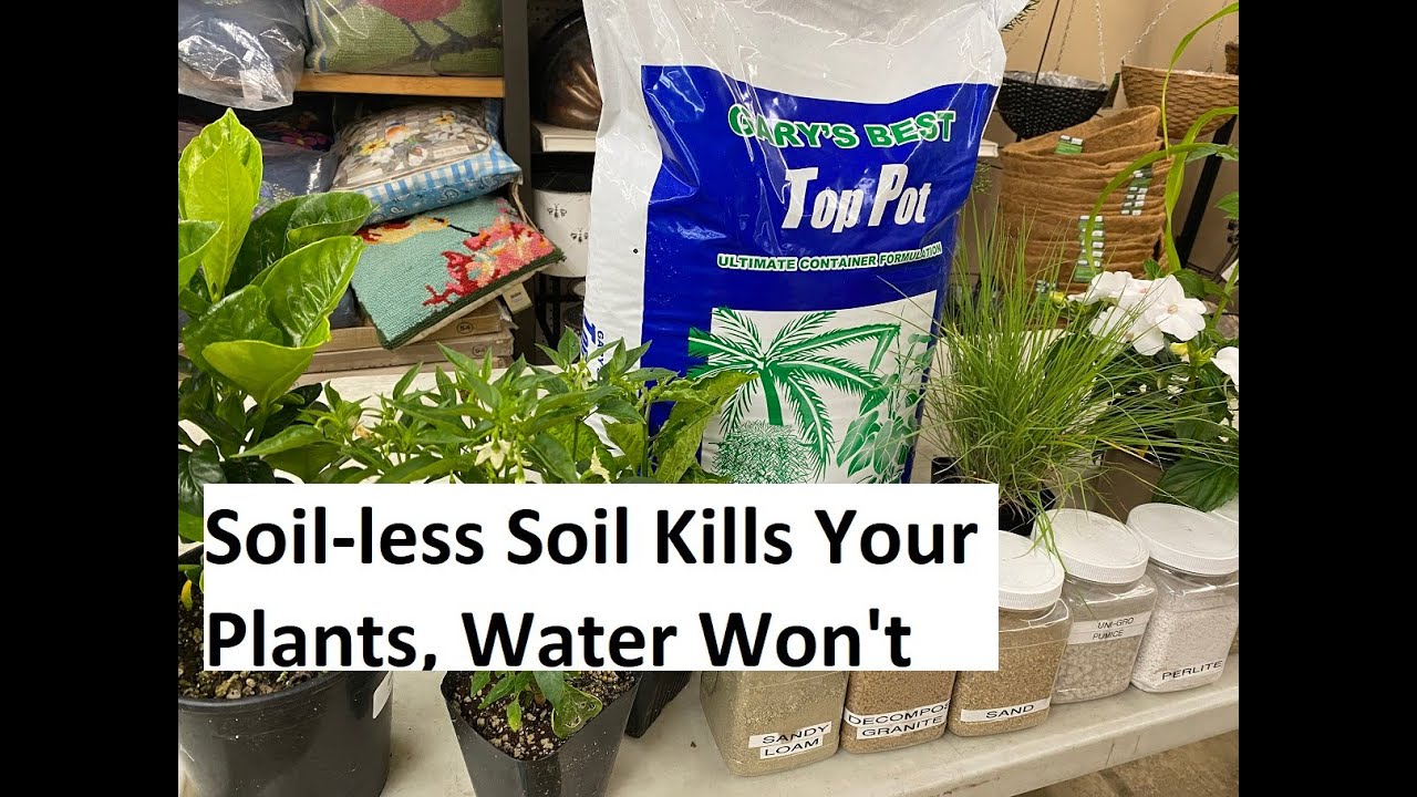 Soil-less Soil Kills Your Plants, Water Won't