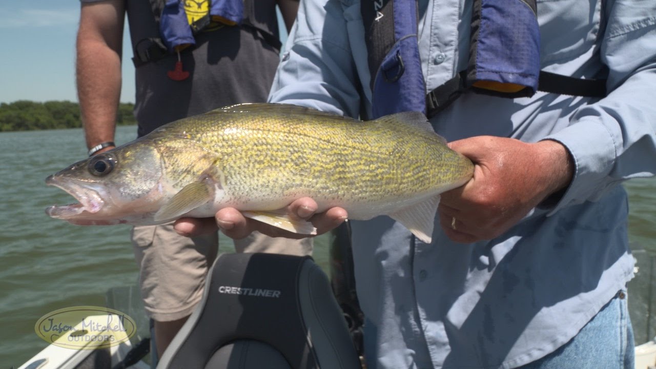 Строгальная доска Walleye в Южной Дакоте