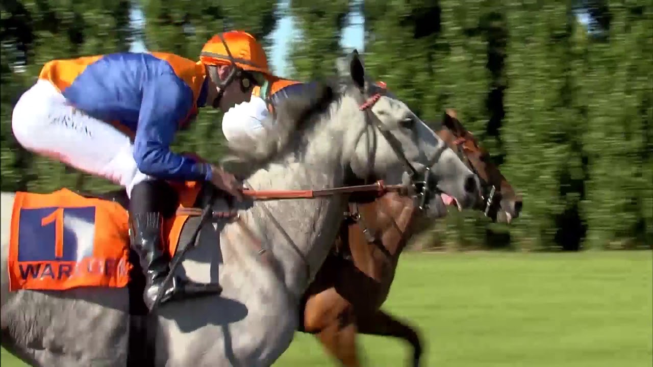 Waregem Koerse - ING Grote Steeple Chase van Vlaanderen 2016