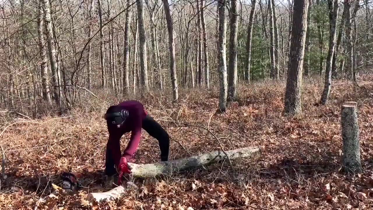 Backyard Routine Maintenance - Free Firewood for Guests