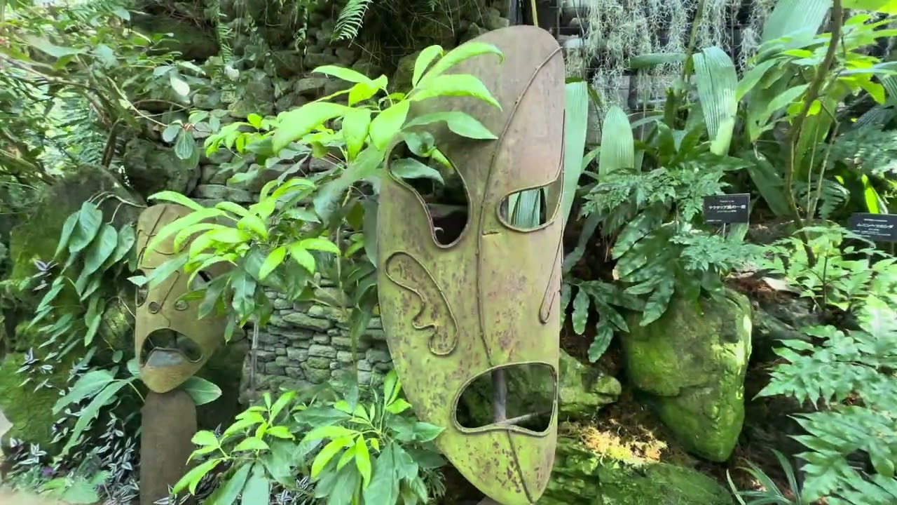 牧野植物園温室