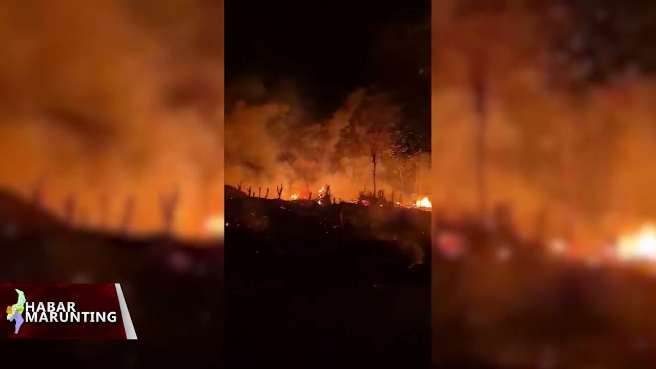 BPBD KOTAWARINGIN BARAT TANGANI 11 TITIK KEBAKARAN
