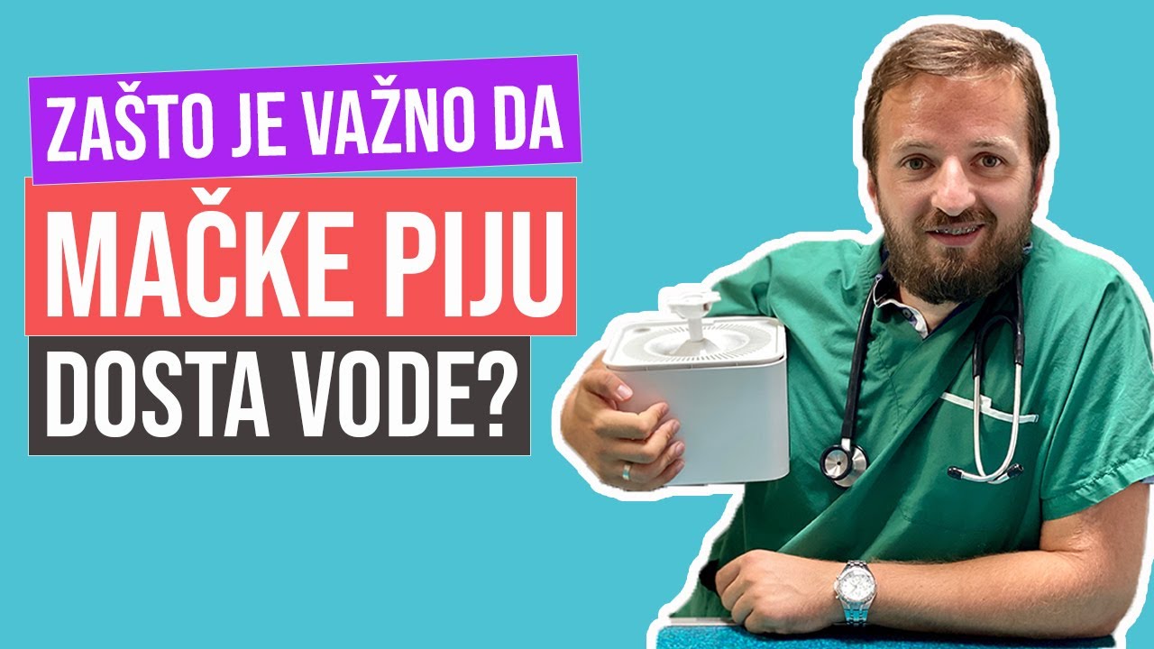 FamilyPet Store | Za&scaron;to je važno da mačke piju dosta vode?