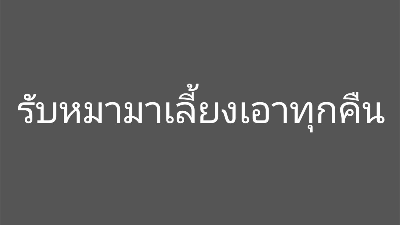 เรื่อง รับหมามาเลี้ยงไว้เป็นเพื่อน