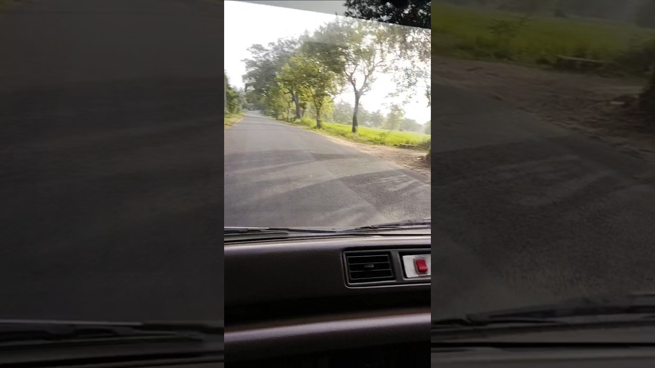Roadside view 