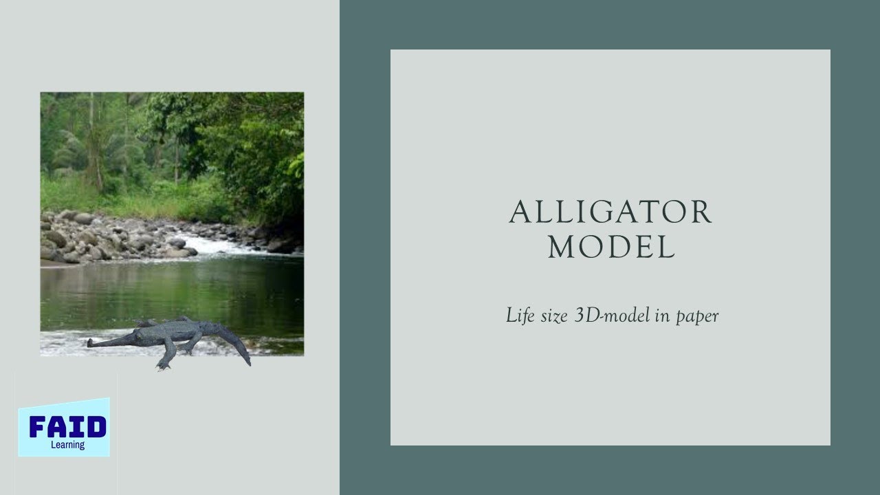 Alligator - 3D model