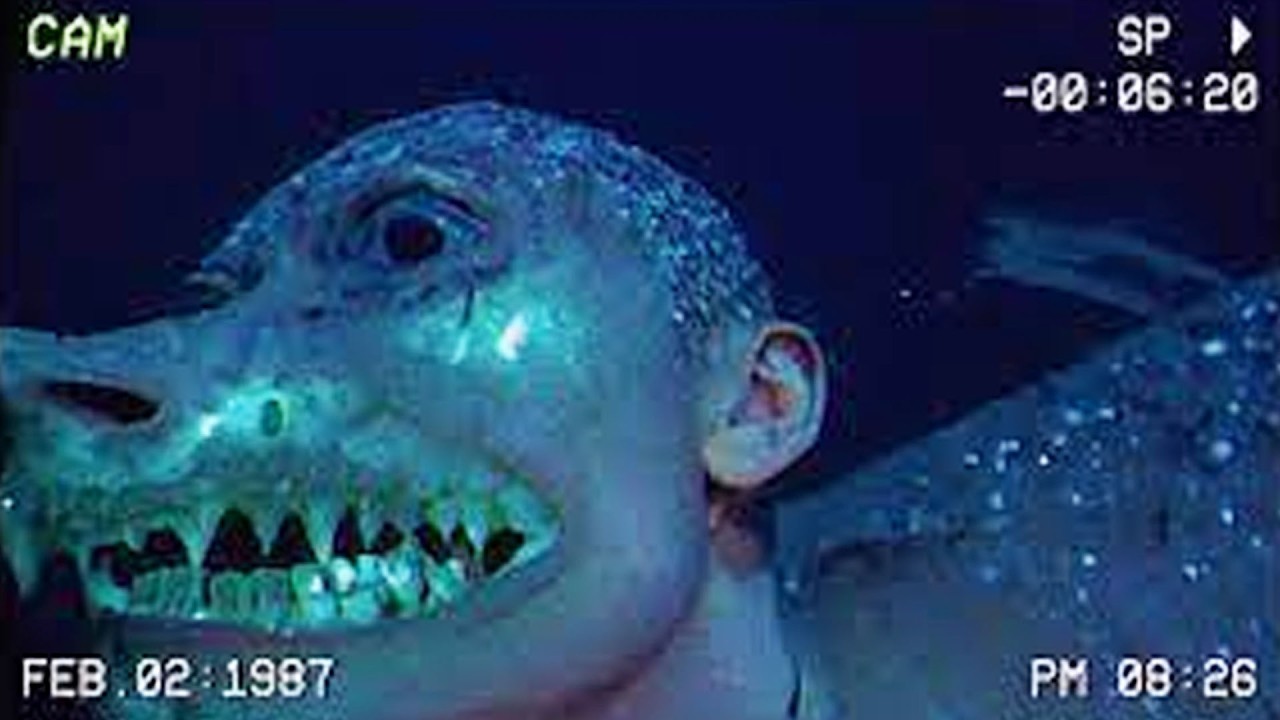 Scientists Capture Disturbing Creatures From the Ocean Floor