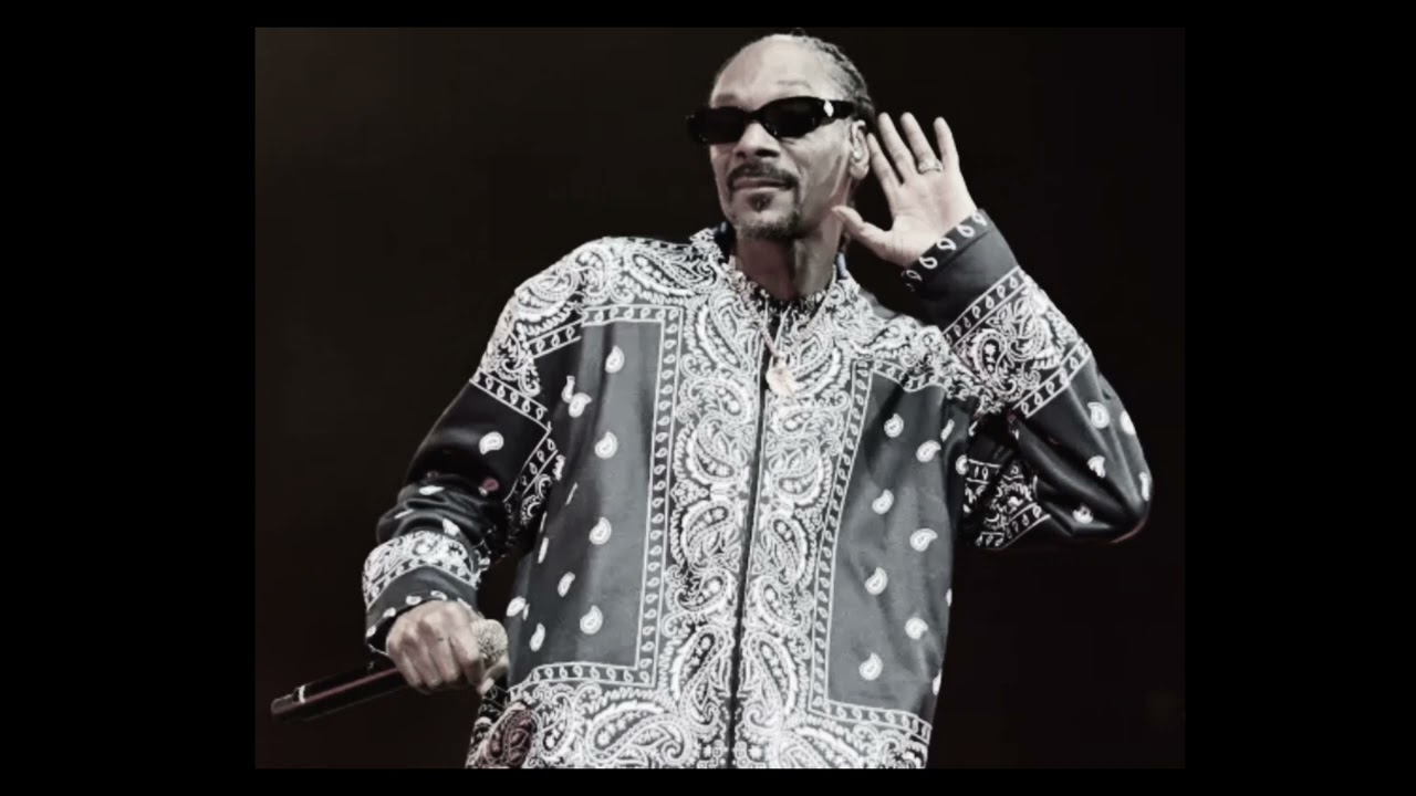 [FREE FOR PROFIT] Snoop Dogg × Dr. Dre G Funk Type Beat - 