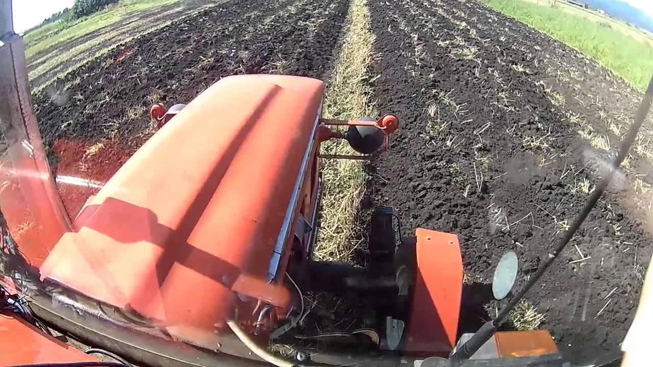 Orba 2015 - Zetor 6911