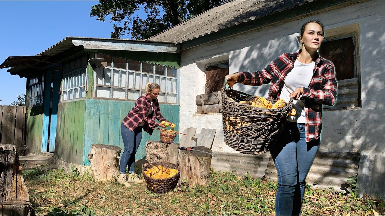 Restoring an old village house. Life off the grid.  Relaxation. Part 1