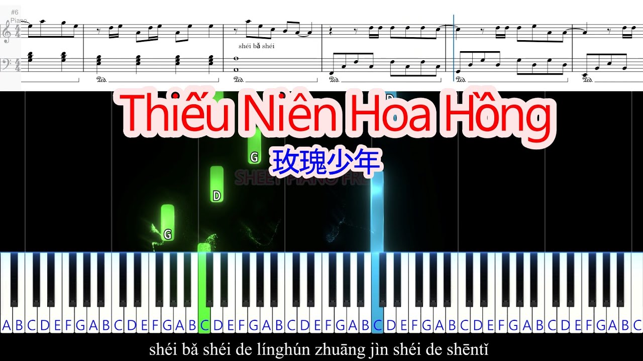 Thiếu Niên Hoa Hồng (玫瑰少年 • 王靖雯) | Sheet Free