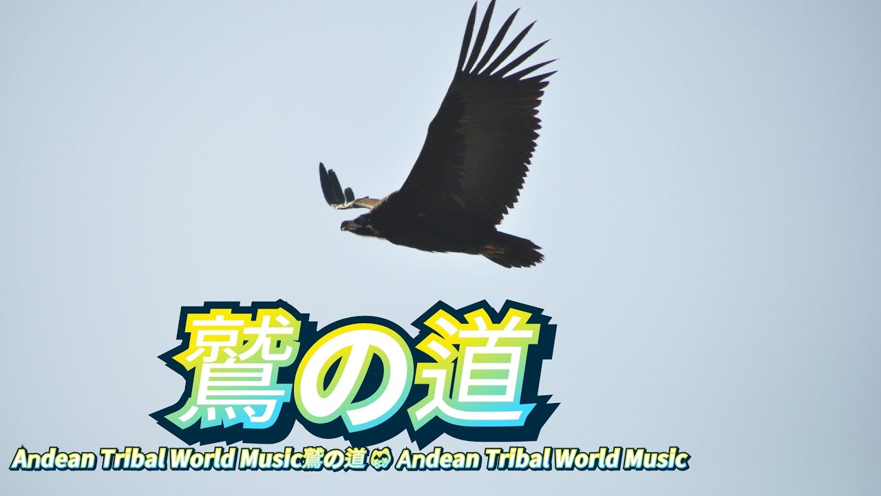 독수리의 길 | 鷲の道 | Tribal Pan Flute Music