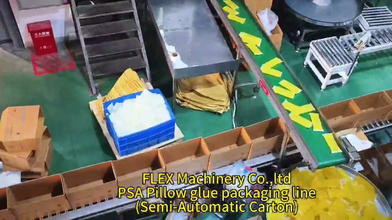 FLEX Machinery Co.,ltd Hot Melt glue Pillow glue packaging line(Semi-Automatic Carton)