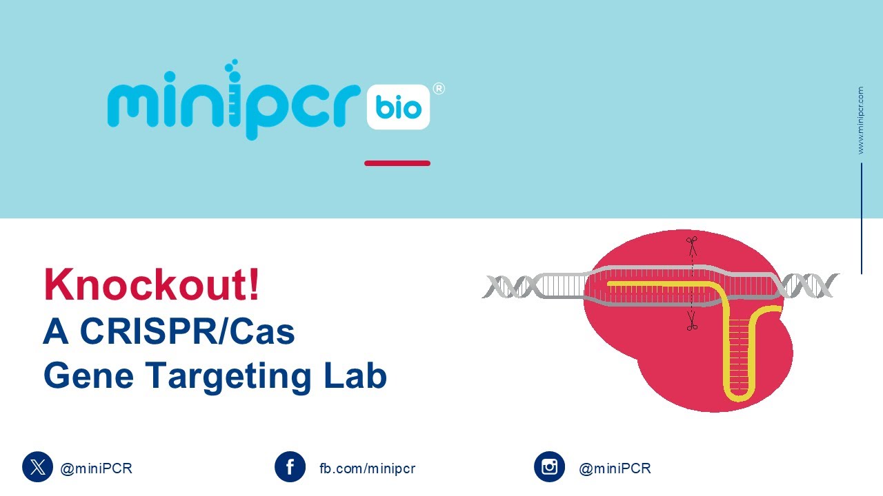 Knockout! A CRISPR/Cas Gene Targeting Lab Webinar