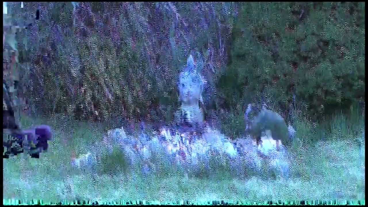 Boeddha Glitch