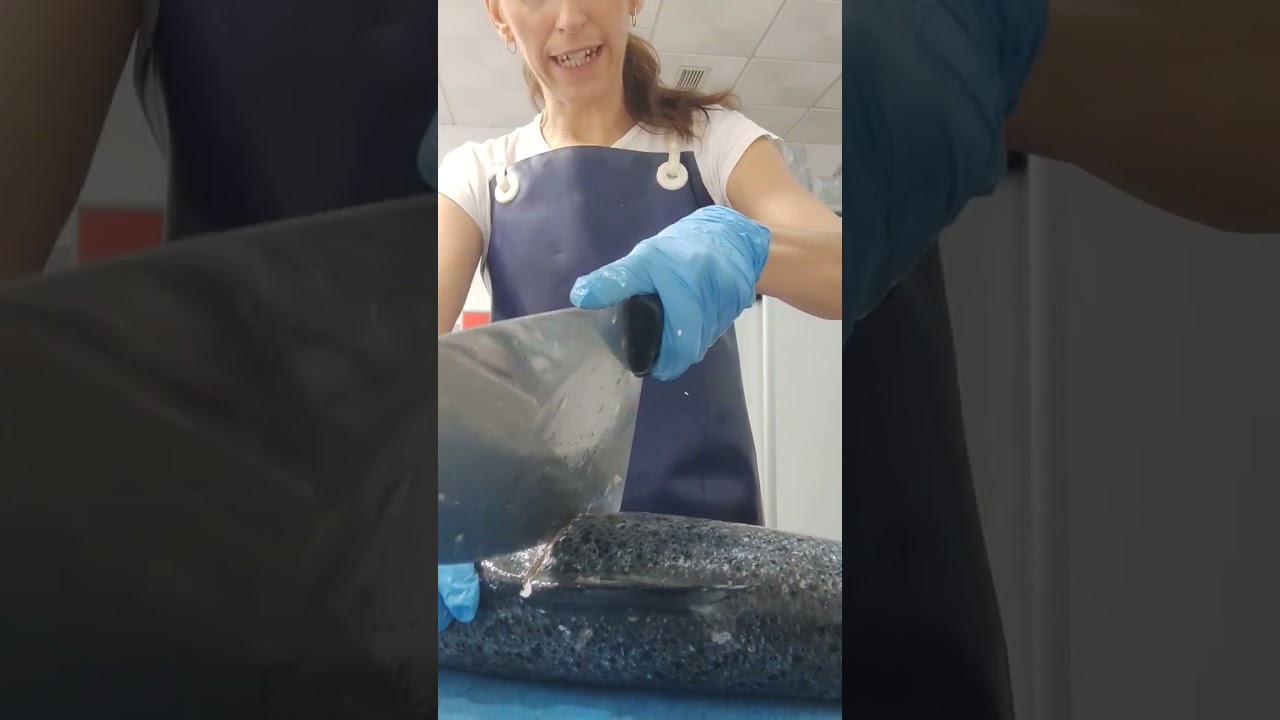 salm&oacute;n #aprendeencasa #formate #pescaderia #pescado #pescadofresco #salmon