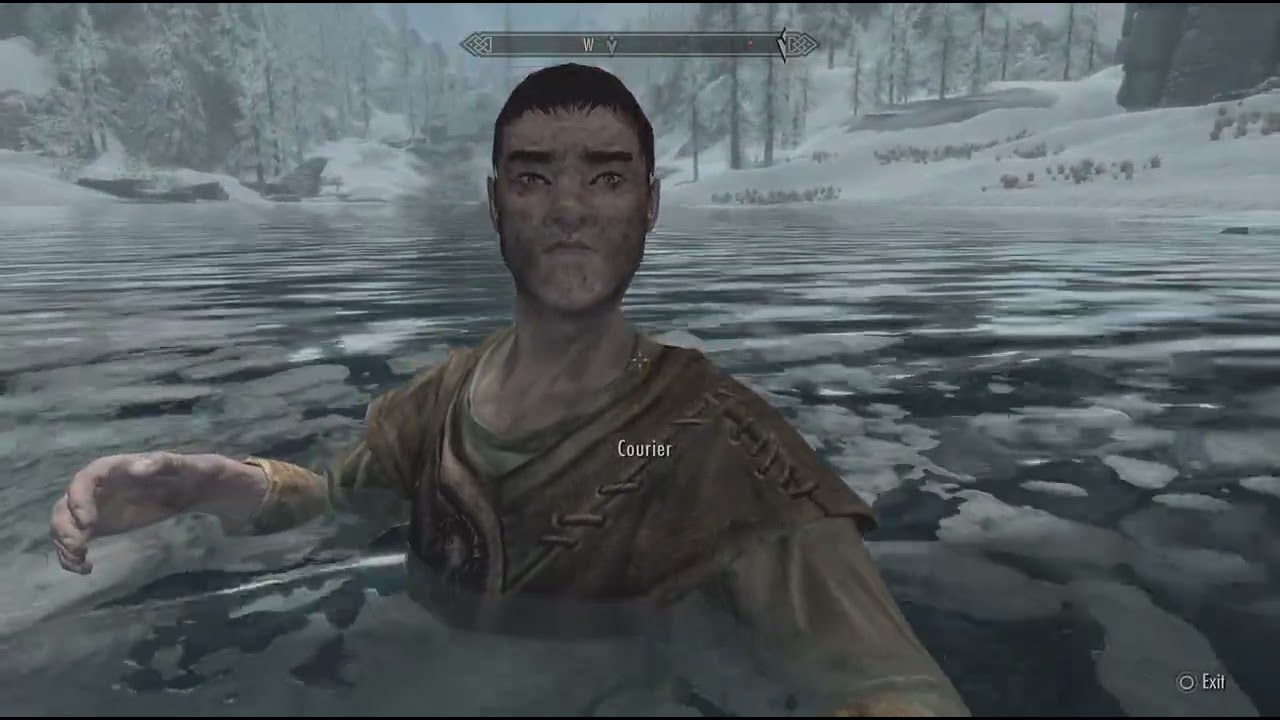 Skyrim Moment