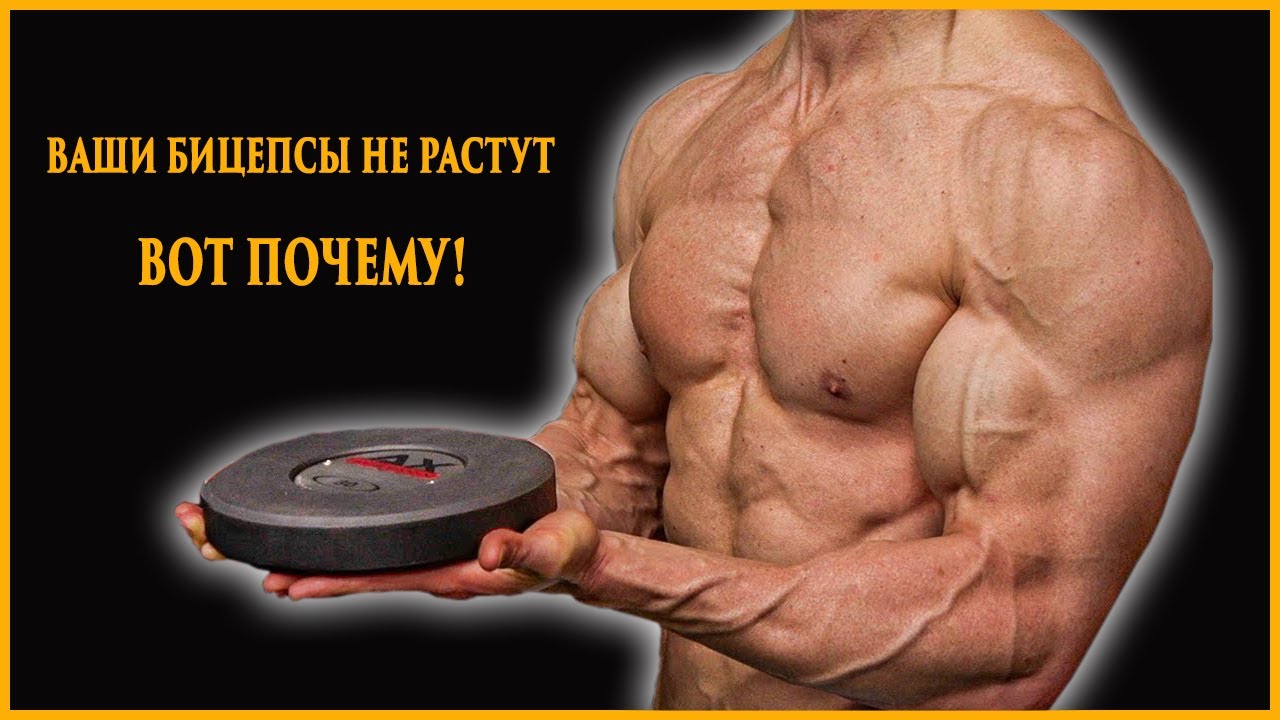 Ваши бицепсы не растут (и вот почему!)