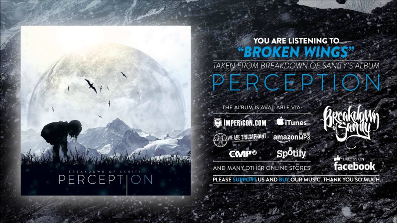 Breakdown of Sanity - Broken Wings