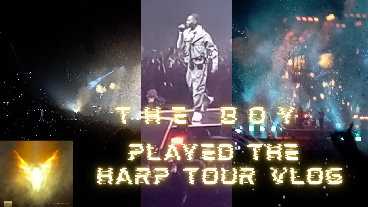 I WENT TO DAVE'S BIRMINGHAM SHOW - BOY WHO PLAYED THE HARP TOUR