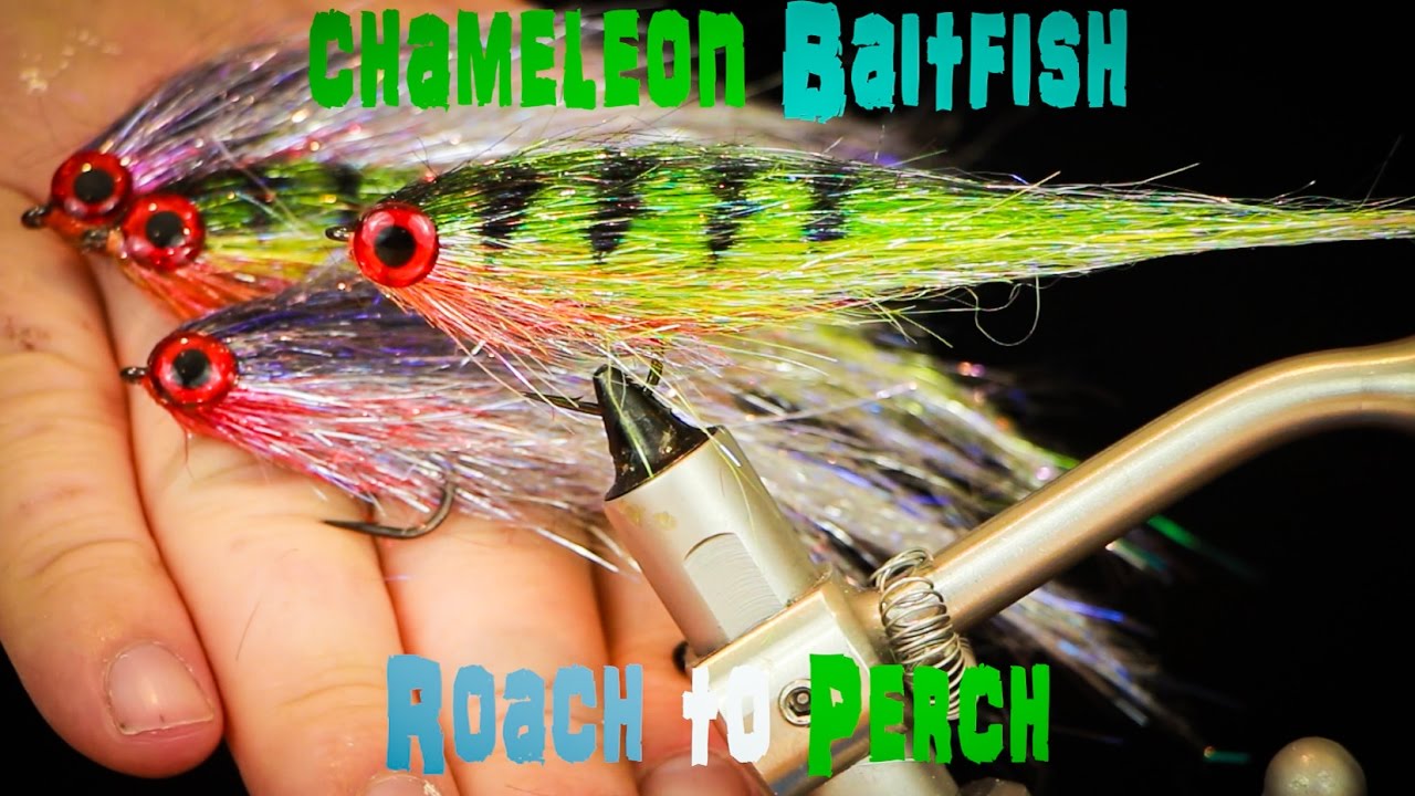 Tying the Chameleon Baitfish (Perch Fly)