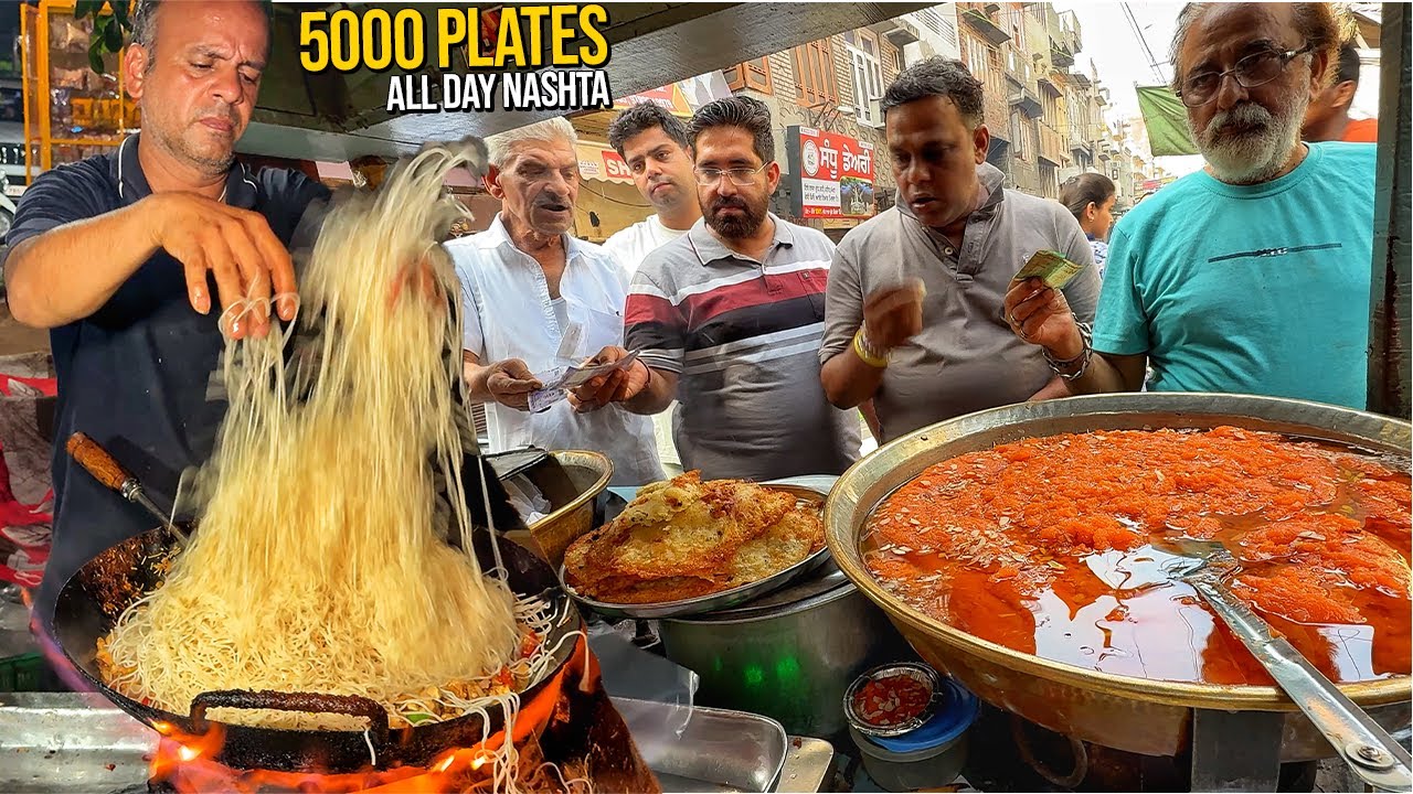 60/- Indian Street Food Champion | Viral Amritsari Desi Ghee Malpua Halwa Patiala Manchurian Noodles