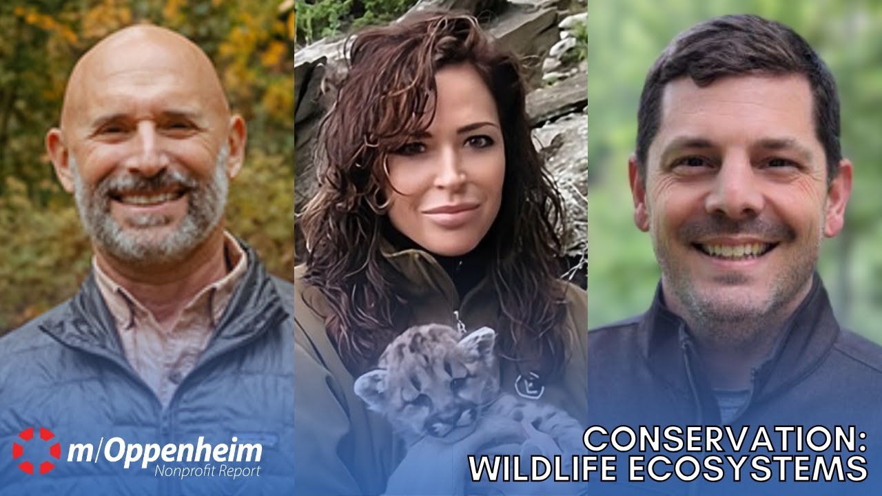 Conservation: Wildlife Ecosystems | Nonprofit Report