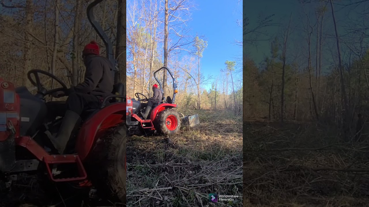 Branson 2400 aka Brutus putting in work clearing! 💪 💪 #clearingland #bransontractor