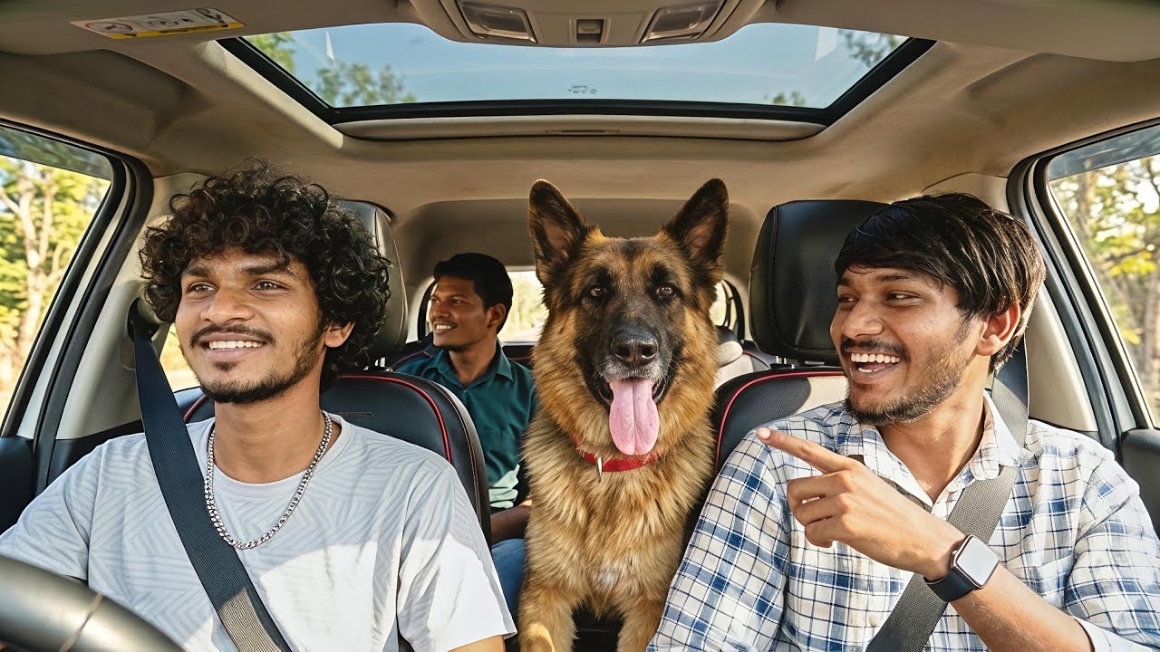 New Family Member Aa Gaya! 😍🐕 | Our German Shepherd Entry 😱