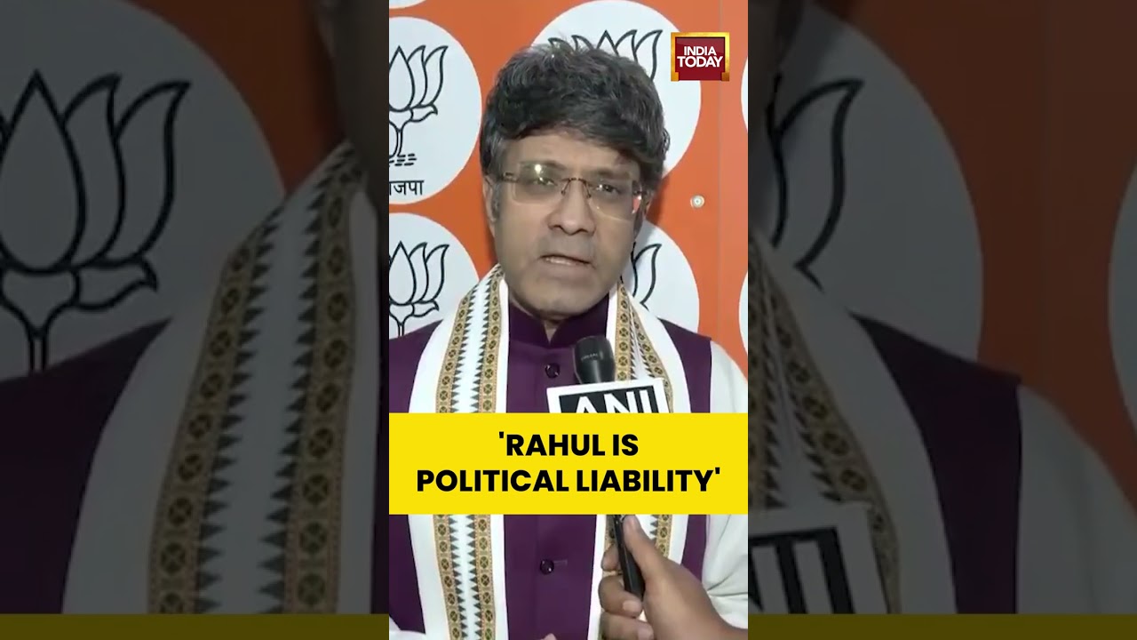 BJP Leader CR Kesavan Says Rahul is 'A Political Liability' | Mani Shankar Aiyar