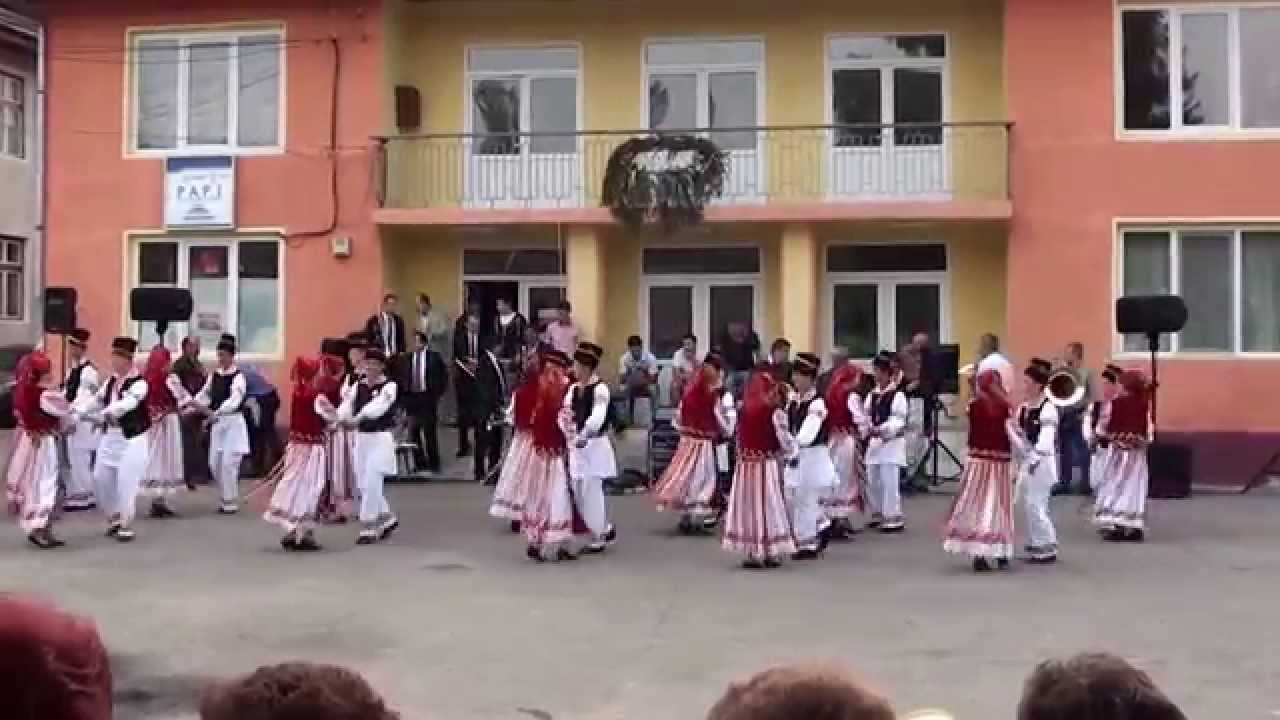 NEDEE LA BANIA 2014