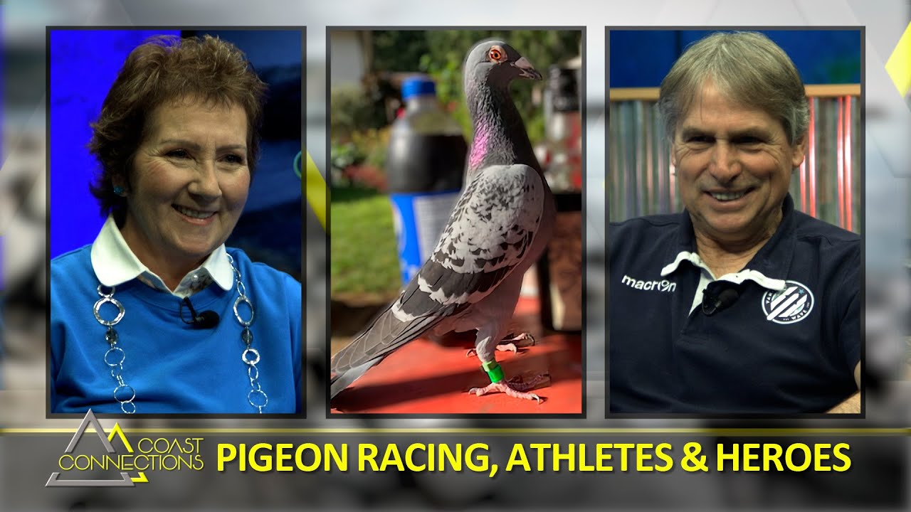 Pigeon Racing, Athletes & Heroes - Coast Connections S08E01