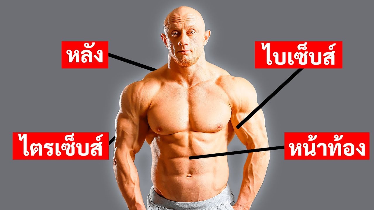 3 วิธีการออกกำลังกายในการสร้างกล้ามเนื้อร่างกายของคุณ