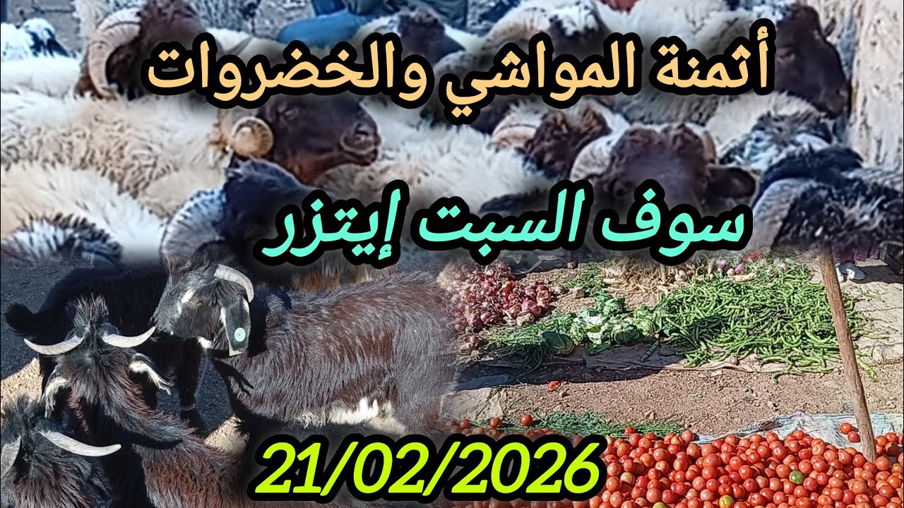 أثمنة المواشي والخضر بسوق السبت إيتزر بتاريخ 21/02/2026 فرجة ممتعة #animals #اكسبلور 